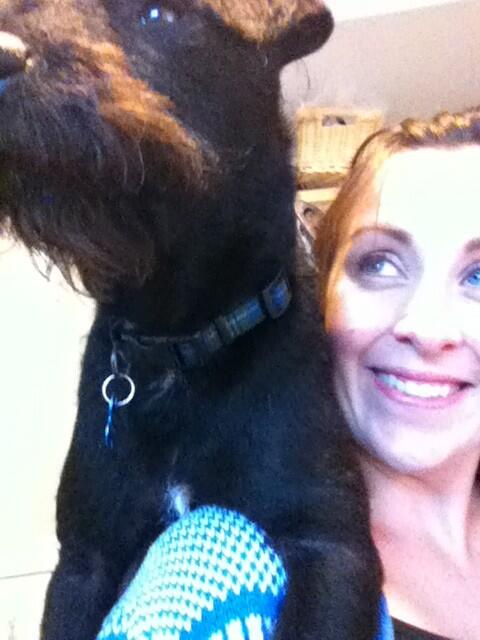 RosieandRadish's tweet image. There's an obstacle getting in the way of drawing today. His name is Ralph. Hx #catdog #studioantics #ralphthedog