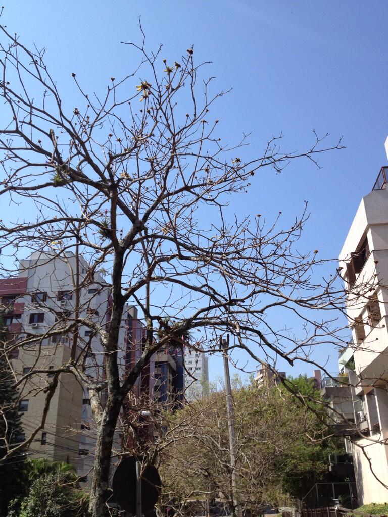 BTfm0vnIYAA7_TD.jpg:large