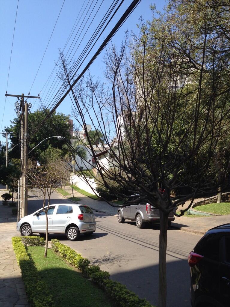 BTfm9YJIMAI5-nm.jpg:large