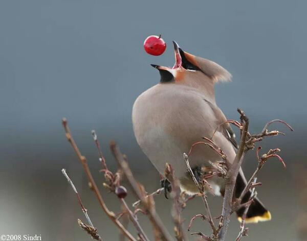 Perfect timing