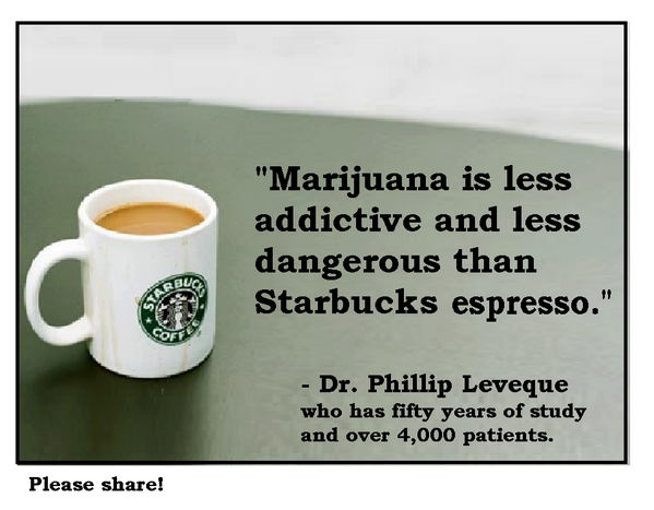 Canna411's tweet image. Which poses more of a #health risk? #coffee #caffeine #marijuana #cannabis #thcnation #420nation #medicine #weed #CO