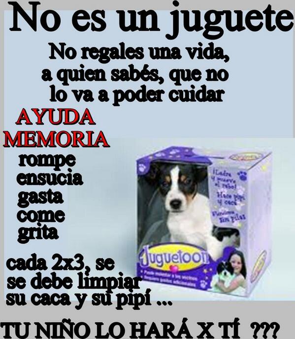 porla_pazanimal's tweet photo. Una mascota No es un #juguete el cual puedes botar cuando te canses de él, es una responsabilidad para toda la vida http://t.co/rwfVfyHMjY