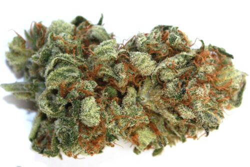 NiceWeed tweet picture