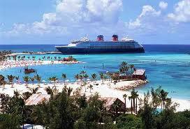 PalmTreeGetaway tweet picture
