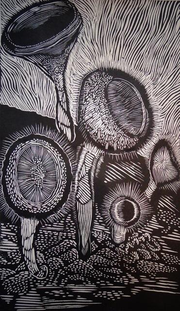 Hongos_unam's tweet photo. “Cookeina Tricholoma y Cookeina Speciosa” de Eduardo Martínez Monroy, en la muestras de grabado de la #ExpoHongos2013 http://t.co/Vrtqzmd77x