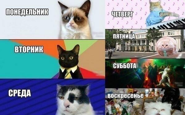 oksanocha's tweet photo. пхахахахахахах, а я пожизненно как в среду и в воскресенье:D http://t.co/hnTPT6VJcp