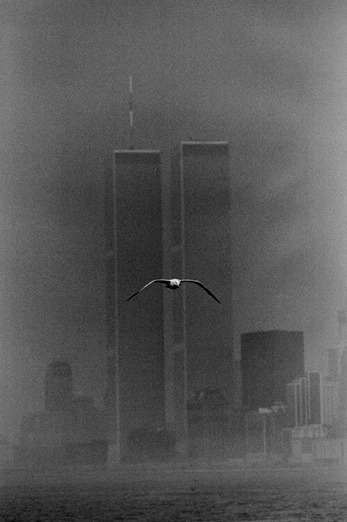 Hermosa foto de las Torres Gemelas en 1979.
