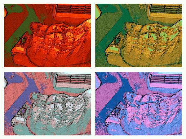 Roanoke Ultimate tweet media