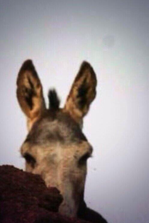 kmnbag's tweet photo. وزير الصحه ﻻزم يستقيل http://t.co/mIwBhKkc0E
