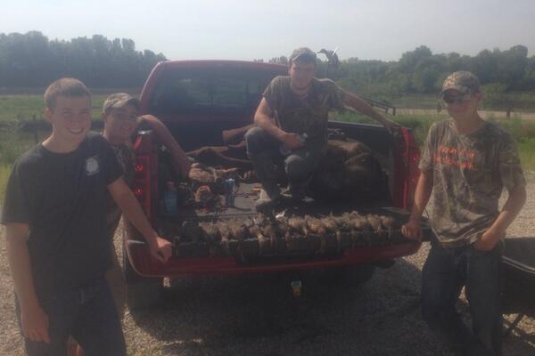 Bradleypeters6's tweet image. Not a bad little teal hunt killed 15 #WackNStack