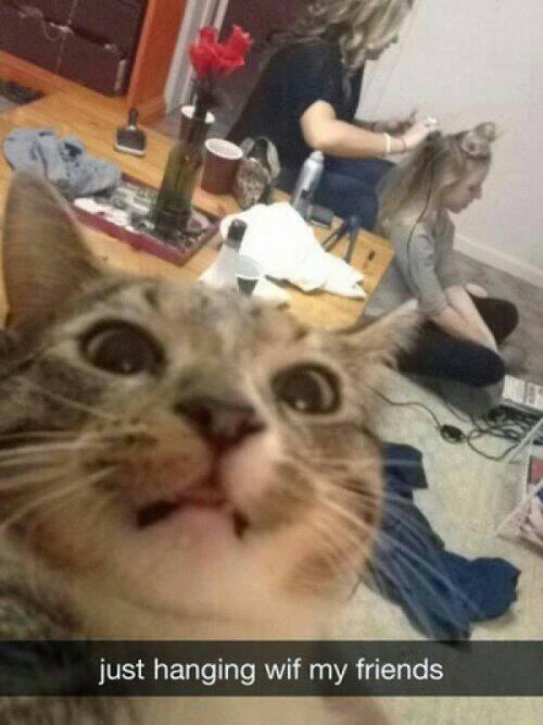 Kaayde's tweet photo. @Zak_Bagans my interpretation of you when you take pictures of yourself. http://t.co/tlbMXZDta2