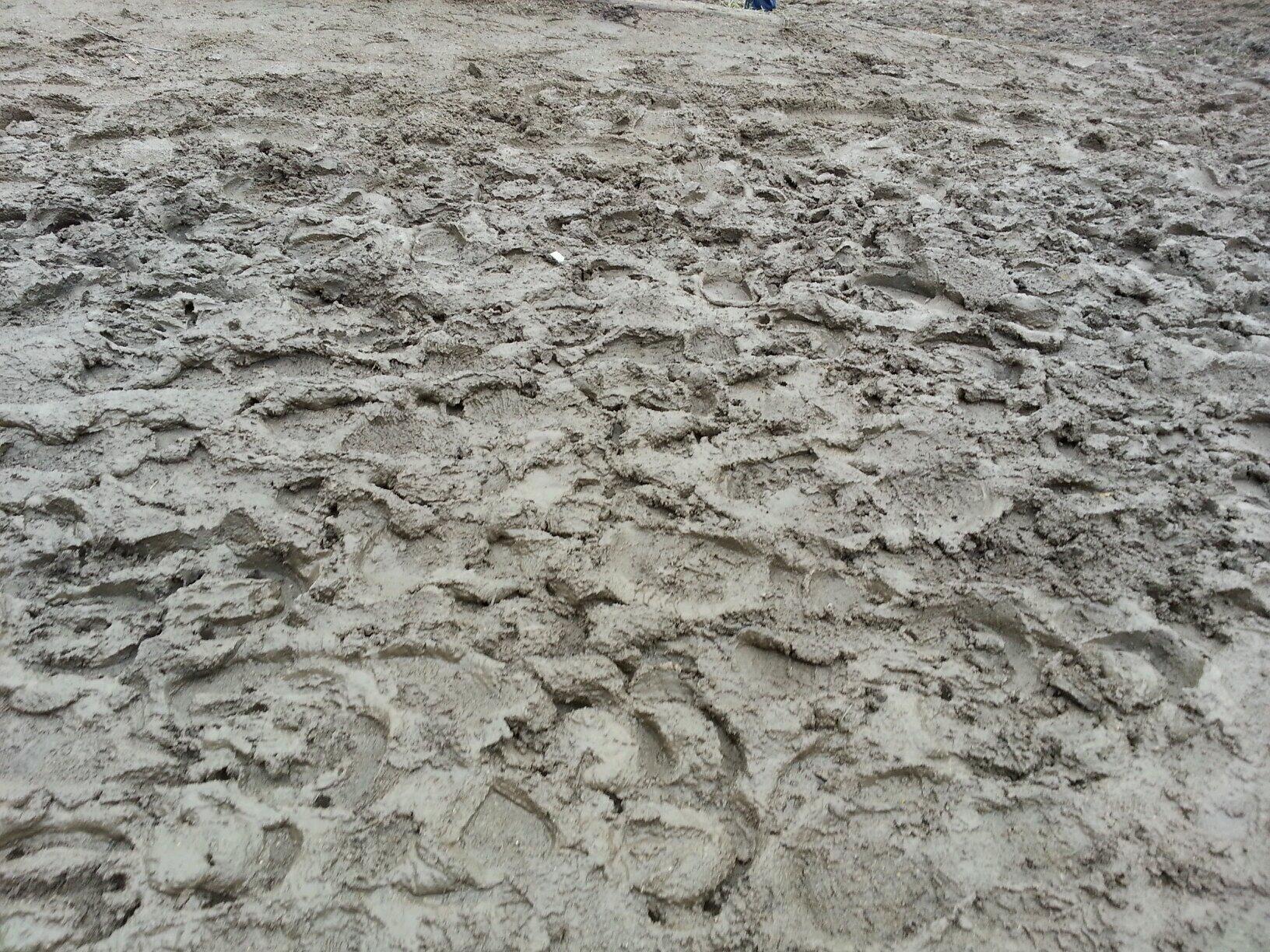 Signa Butler on Twitter: