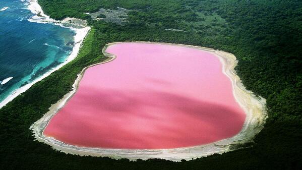 UntilEarth's tweet image. A very bizarre pink lake. Lake Hillier, Australia