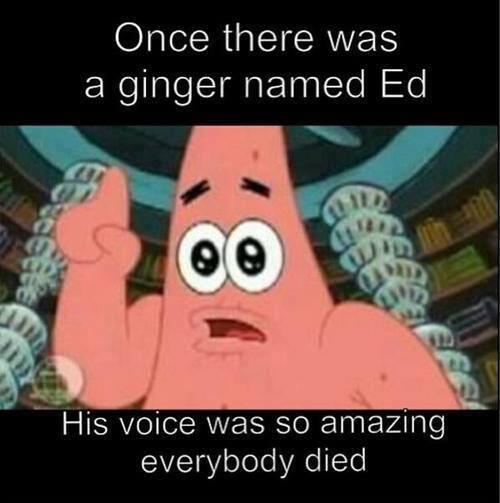 Sheeraneitor's tweet image. 