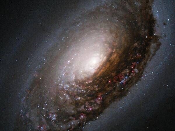 The Black Eye Galaxy. What a shiner! ,