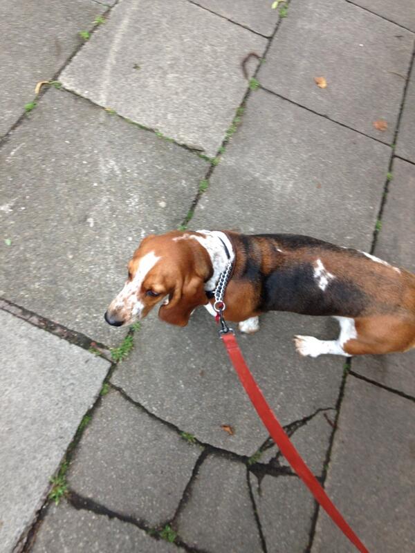 Struttyourmutt's tweet photo. http://t.co/syiiT5I5N8