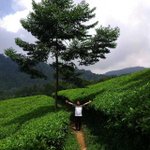 Photo by irwan herdiawan (@herding)