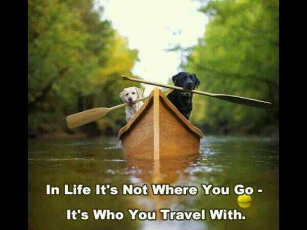 pauldunphy's tweet image. "@ThisisDavina: Love this “@pauldunphy: @ThisisDavina bet your gran agrees Davina? #lovethis #wisedogs http://t.co/7XjRI0XCyc”" love Davina