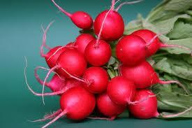 knowursign's tweet image. Radish a rich source of potassium, can help lower risk of kidney stones &amp;amp; stroke ..