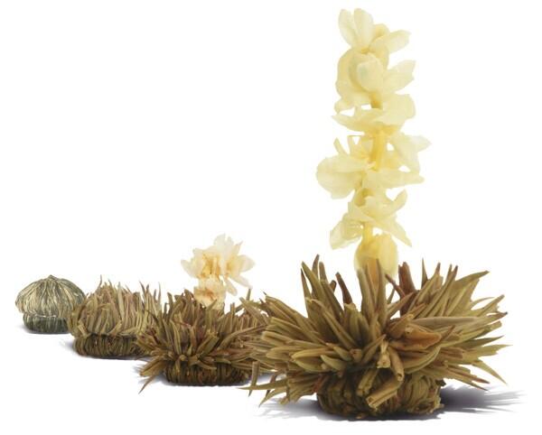 APuplevity's tweet image. 