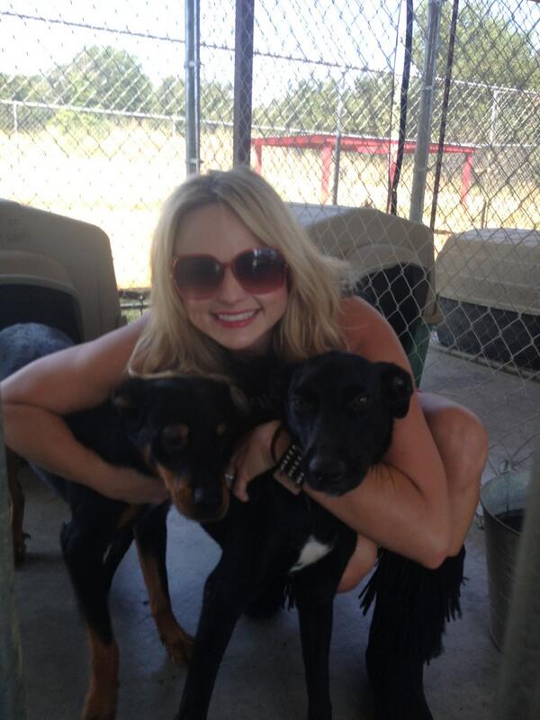 mirandalambert's tweet photo. Dog days have begun! Come see us! Already 3 gone this mornin! Come on!!! http://t.co/2IAbB3V0Fa