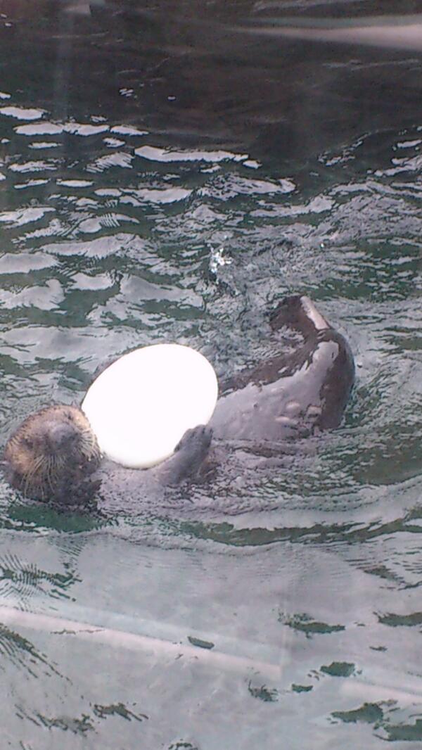 SamSchaerer's tweet image. Typical @jamieleach08 with his fris