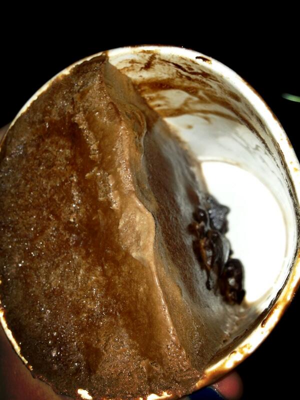 twinkyEnby's tweet image. What the f happened to my Phish food 😩 #freezerproblems