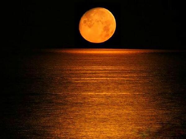 الشيخ بلال الحلاق (@shaykhbilal) on Twitter photo 