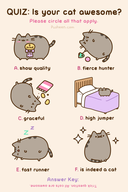 Pusheen the cat on Twitter: "QUIZ: Is your cat awesome? http://t.co