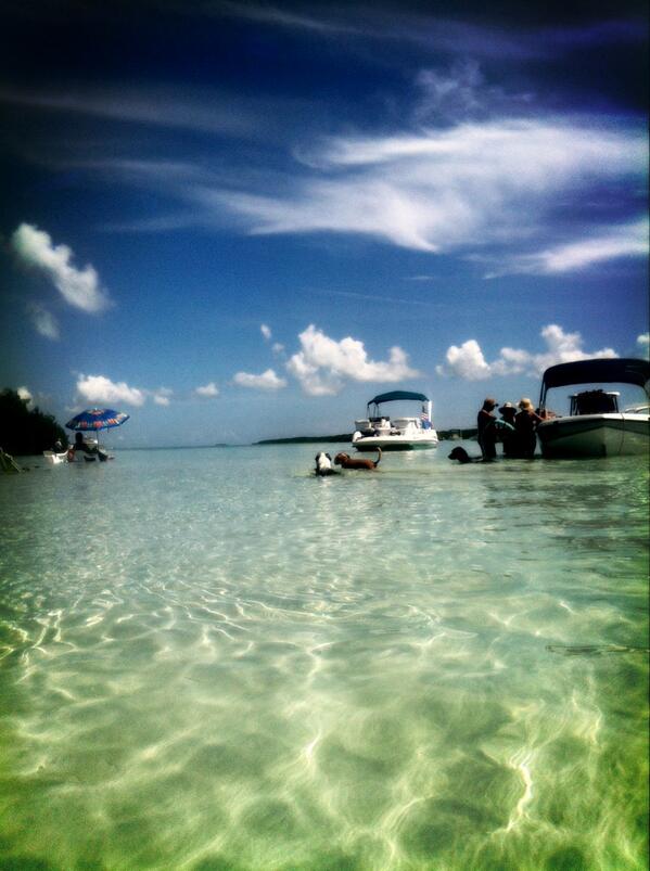 JessRoseCrocker's tweet image. Marvin @FloridaKeys @thefloridakeys