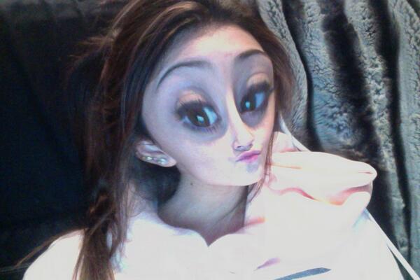 View image on Twitter