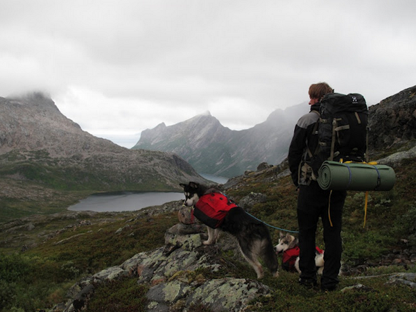 BackpackingPics tweet picture