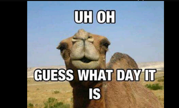 pascalh033's tweet image. Negende vandaag...