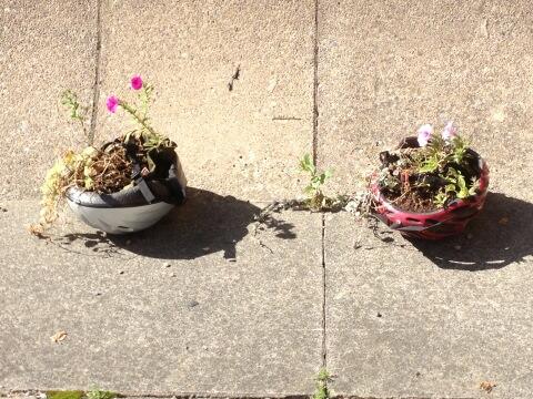 Bicycle helmet hanging baskets. Nice idea