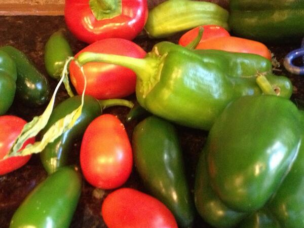 thirdboob's tweet image. Still harvesting my own garden veggies. Love it! #spreadhealth @MinuteClinic #nellie #Charlotte