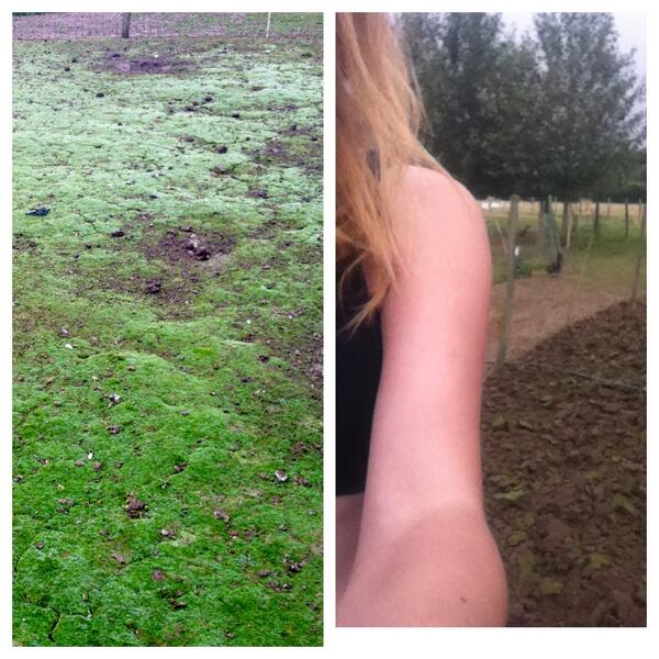 My back aches..thank you <a href="/Badgerales/">Badger Beers</a> for making me whole again..,