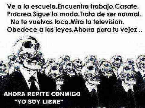 RinconSalfate's tweet photo. Jajajaja wena... alguien no se siente identificado?  ¡Prevaleceremos y que se sepa, mierda! http://t.co/Vbm9FJDAMc