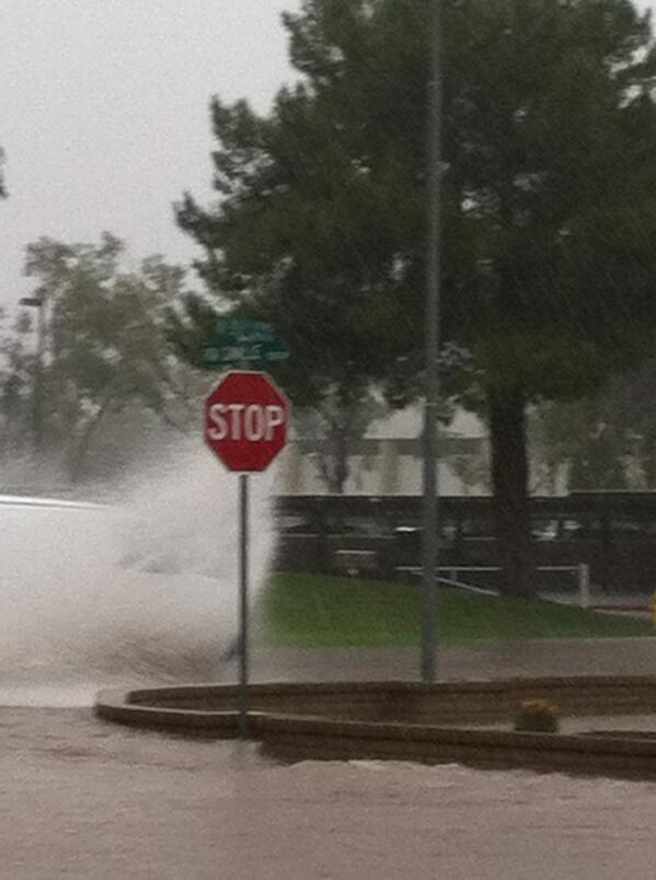 View image on Twitter