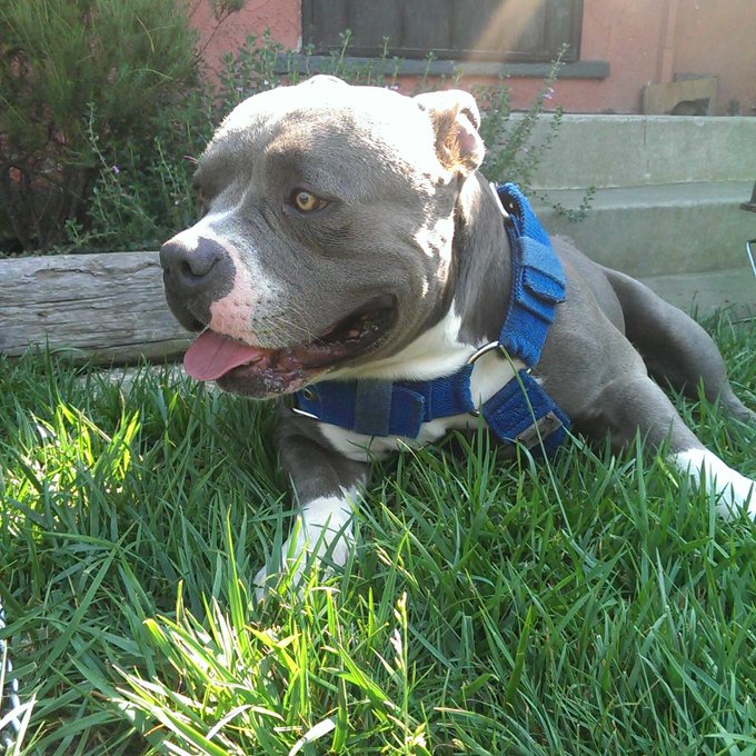 Isn't he so handsome god http://t.co/1OAcP6COP5<a href="/tag/ecstatic"class="tags"><span>#ecstatic</span></a><a href="/tag/accomplishments"class="tags"><span>#accomplishments</span></a><a href="/tag/isquirt"class="tags"><span>#isquirt</span></a>