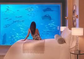CastilloFelipe2's tweet photo. nuestras suites desde $500.00 la noche http://t.co/Hck8yG8pZa