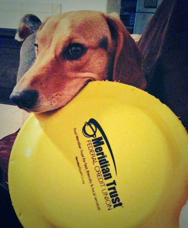 Hannah McNamee (h_mcnamee) Twitter