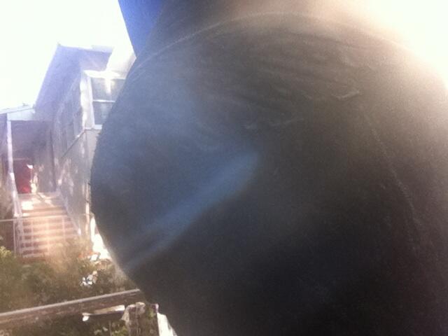 A glorious shot if my " #shelfbooty " hahaha wanna tap my wings!? http://t.co/LdzCm5OJYf<a href="/tag/shelfbooty"class="tags">#shelfbooty</a>