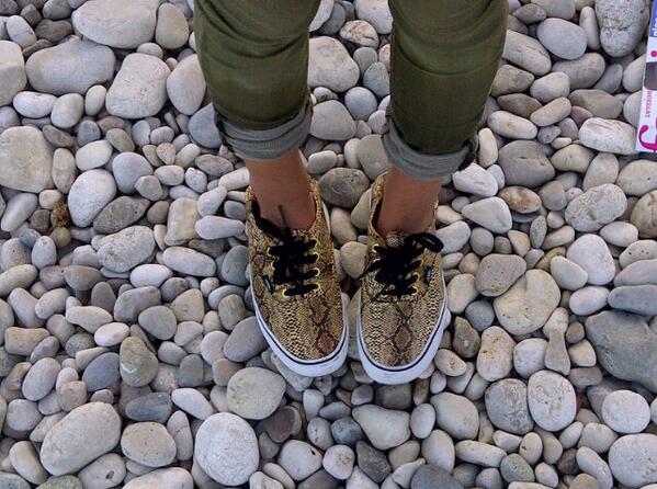 CthLaura's tweet image. Love these new shoes @VANS_66 @mandyayme #swaggy #americanstyle #pythonstyle #onthefrenchriviera