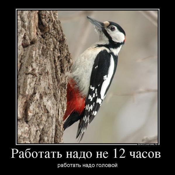 PR_AD_ASH's tweet image. Да, я за интеллектуальную работу!