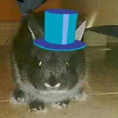 cerdan84 tweet picture