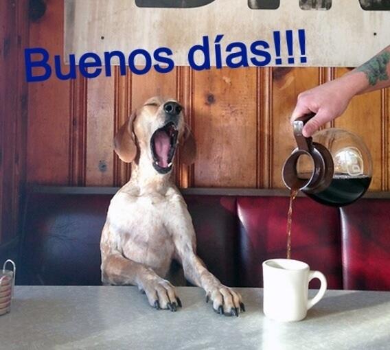 CodeXunlock's tweet image. Muy buenos días a todos!!

codexunlock.com