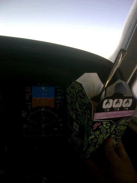 aarondjturbz's tweet image. Thai food up at 31,000 feet! @APilotsEye #thaifood #yum #inflightservice