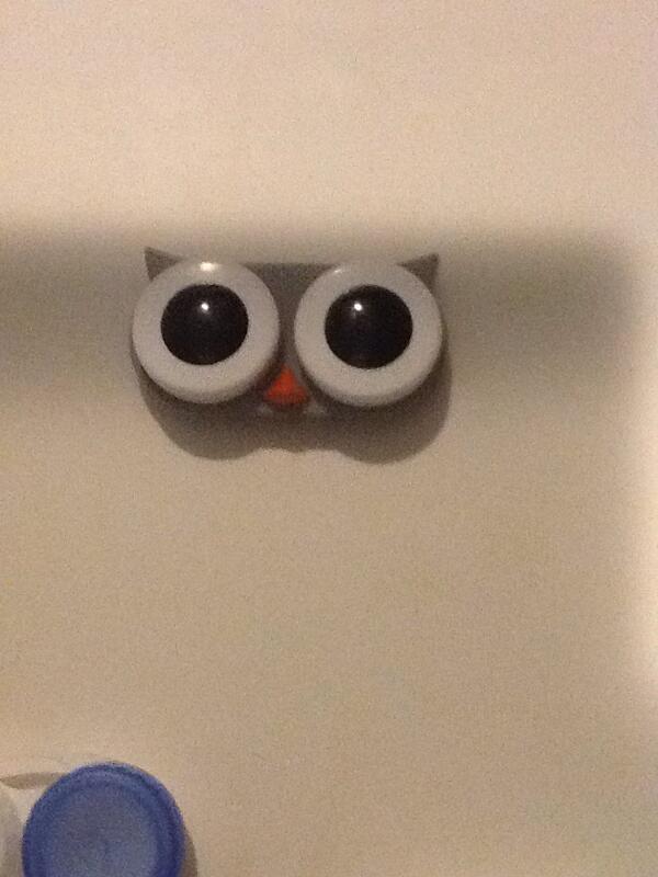 53Nallely's tweet image. Love this! #founditat#bedbathandbeyond#owl#love @MacBarbie07