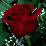 g2112's tweet photo. @ImAlegra http://t.co/PIYTk1kuEK