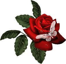 WardSaef tweet picture